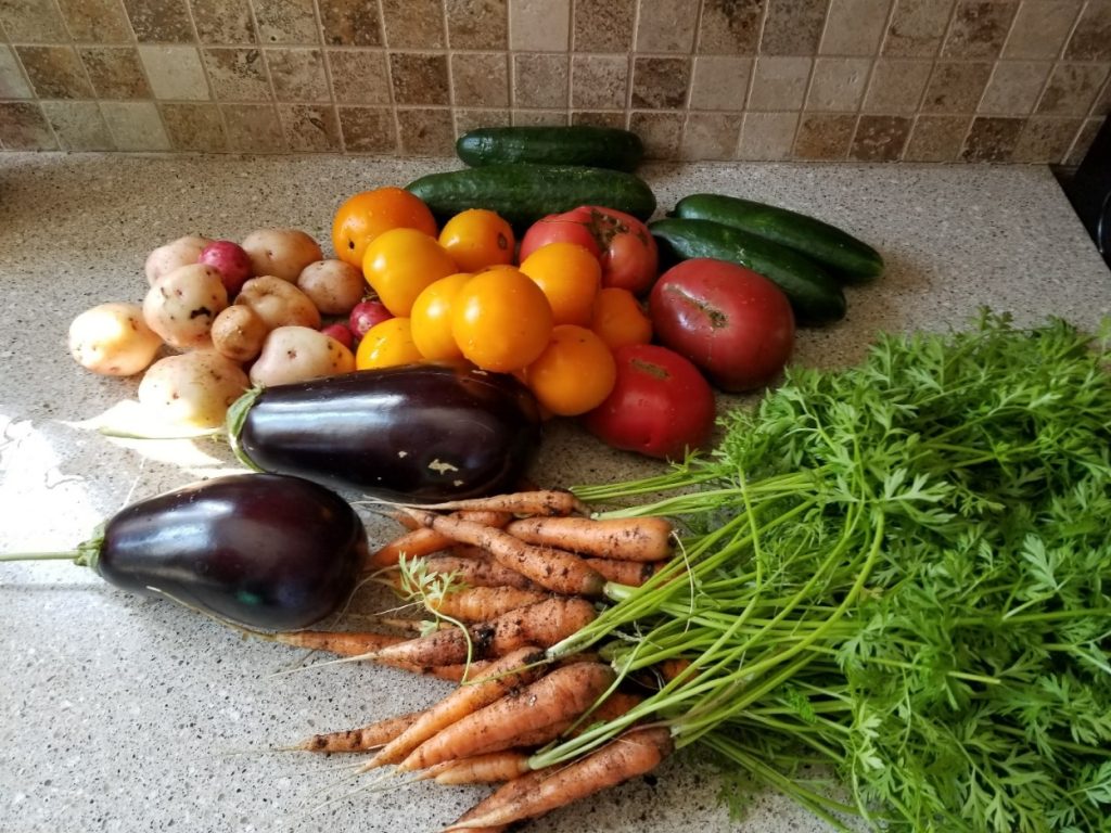 Fresh vegetables on a kitchen countertop